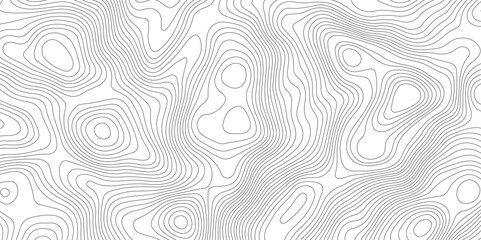 Fototapeta premium Topography and geography map grid abstract backdrop, Modern design with White background.