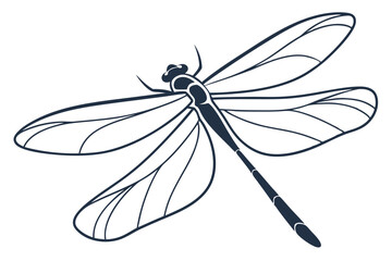 dragonfly on white background