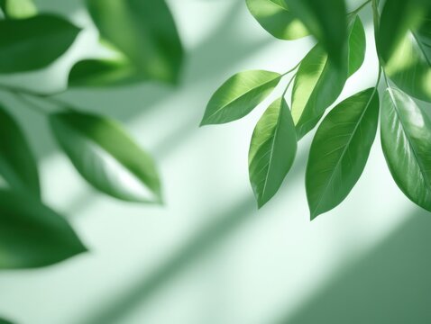 Blurred shadow of leaves creates a serene pattern on a soft green wall, evoking a sense of tranquility and nature's gentle elegance. - Powered by Adobe