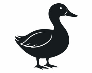 duck on white