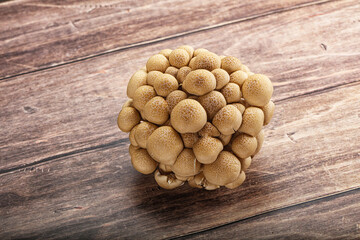 Raw asiam delicacy mushroom Shimeji