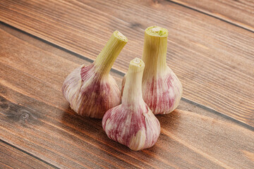 Young garlic heap for cooking
