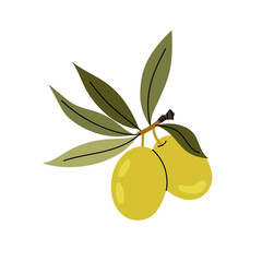 Olives. Branch ripe green olives. Ingredient for olive oil. Olive tree. Greek plant. Flat illustration on white background.