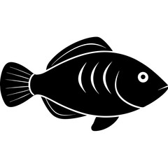 illustration of a fish