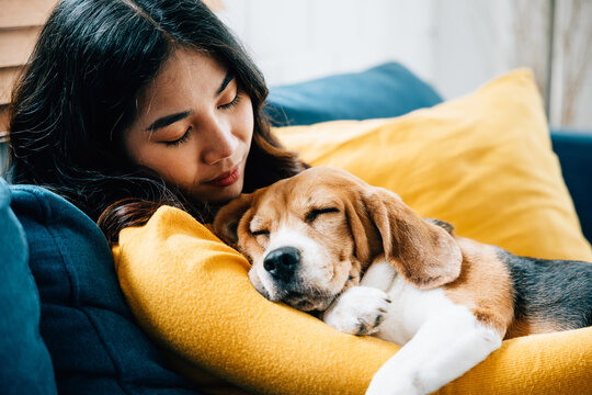 A woman shares a peaceful nap with her Beagle puppy on the sofa in their living room, capturing the essence of trust, togetherness, and happiness. It's a heartwarming home portrait. Pet love