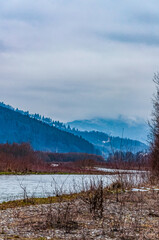 Landscapes - Forest - Europe, Romania, Suceava region  