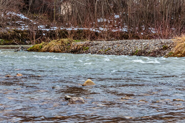Landscapes - Forest - Europe, Romania, Suceava region  