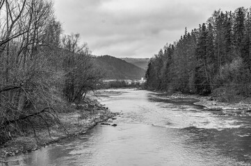 Landscapes - Forest - Europe, Romania, Suceava region  