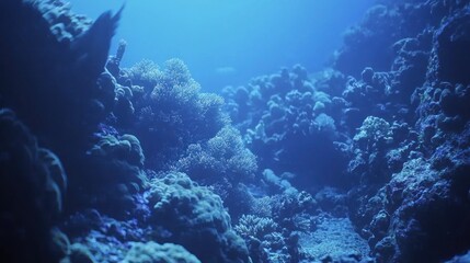 Naklejka premium Underwater coral reef scene, deep blue ocean.