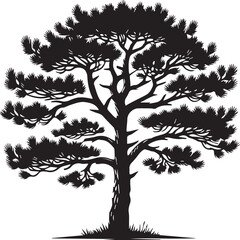 Obraz premium Silhouette of tree