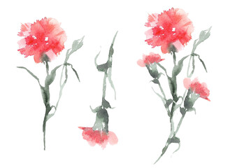 Watercolor wedding flowers. Set red bush carnation bouquet with green branches, unopened bud and green foliage and individual flowers. Hand drawn illustration for your design