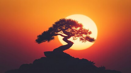 Silhouette of bonsai tree on rock against vibrant sunset.