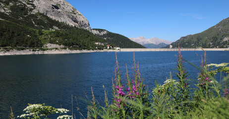 Fototapety na wymiar - Fototapeta24.pl