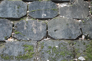 Old octagonal shaped stones with some green moss texture