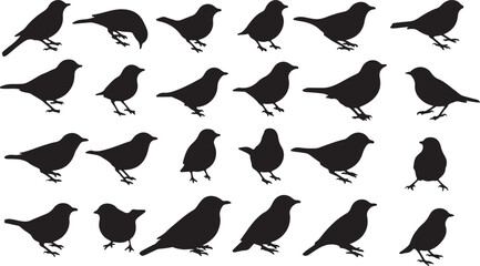 Thrush Silhouette Collection