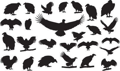Vulture Silhouettes Collection