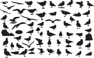 Solid Black Silhouettes of a Seagull