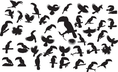Toucan Silhouette Collection