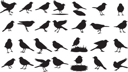 Wagtail Silhouette Collection