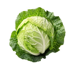 Obraz premium Fresh and Ripe Whole Cabbage on transparent isolated background