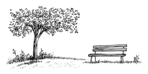 single park bench under tree in peaceful black sketch © Kaz