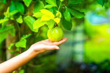 South Samui views with beach villas, in koh Samui, Thailand