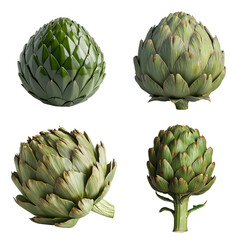 Fototapeta premium Artichoke vegetable in various angles and styles