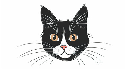 Fototapeta premium Cat isolated on White background