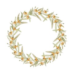 Farm yellow wildflower Rudbeckia with green leaves wreath on white. Watercolor illustration in kids style for textile, decoration children parties, birthday, Easter, Mothers Day