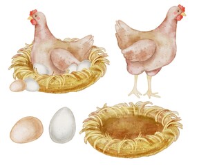 Cute chicken in nest with eggs composition set on white. Watercolor illustration hen in kids style for textile, decoration dishes, children parties, birthday, Easter.