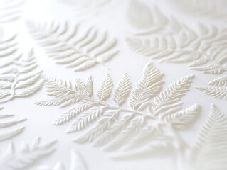 A close-up of a delicate fern leaf with intricate fronds, carefully placed on a white background, creating a harmonious 