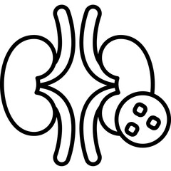 Kidney Stone Icon