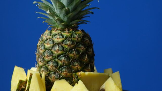 Slow Spinning Fresh Pineapple Fruit and Sliced Pineapple Pieces on Blue Background.