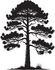 Fototapeta premium silhouette of a tree