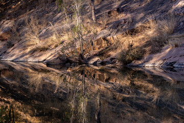 Reflection in India