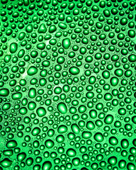 Refreshing Close-Up of Dew Droplets on a Bright Green Background