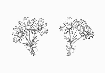 Set isolated bouquets branches of flowers chamomile with bow outline drawing hand drawn white background.