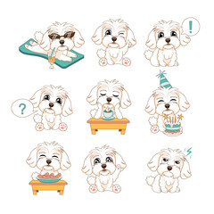 Set of emotions and poses of a dog multipoo, on the beach, eating sausages, like, birthday, drinking coffee, etc. in a cute cartoon style.