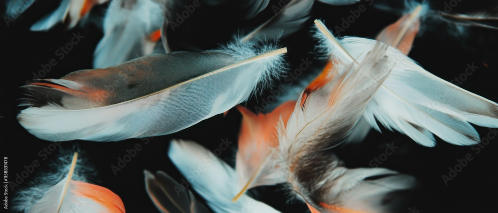 Aufkleber soft floating feathers create a gentle overlay texture suitable for various designs and backgrounds