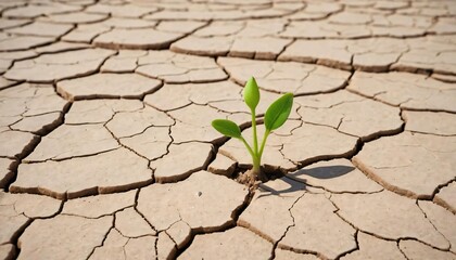 cracked earth in the ground