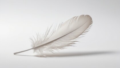 Single Feather with Delicate Details