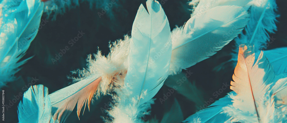 Poster Delicate feather patterns create a soft and ethereal overlay texture for artistic designs