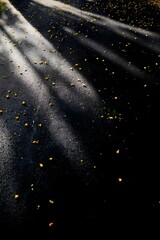 asphalt road leading into the city at night. Selective focus. background