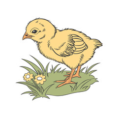 Yellow chick in the grass with flowers. Cute poultry illustration.