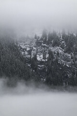 Fototapeta premium Snow covered trees on a mountain with fog in winter. Alberta, Canada
