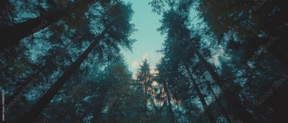 Poster Forest canopy illuminated by soft light beams in a hyper-realistic painting style