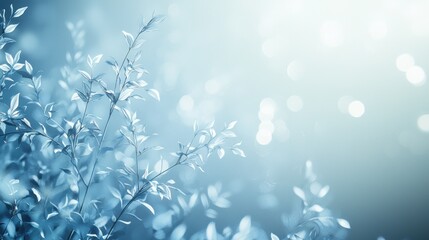 Serene blue toned nature background with blurred bokeh and delicate leaves.