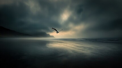 Lonely seagull flying over dark beach at sunset.