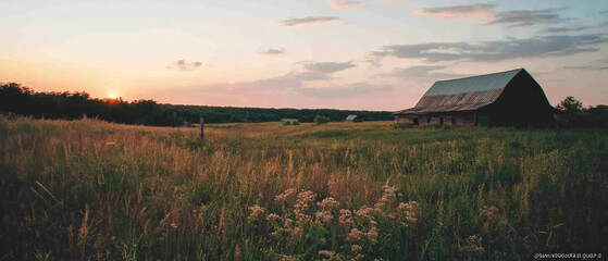 Rustic barn standing in a tranquil field at sunset with warm hues lighting the sky