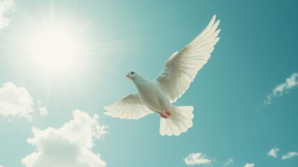 Fototapeta premium Elegant White Dove in Flight Against a Bright Blue Sky